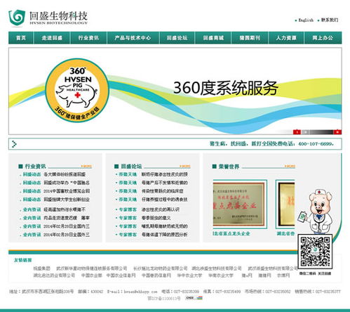 网站建设中需要创造图片