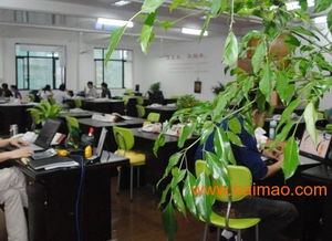 台州的网站建设公司 哪里可以做网站优化的公司,台州的网站建设公司 哪里可以做网站优化的公司生产厂家,台州的网站建设公司 哪里可以做网站优化的公司价格